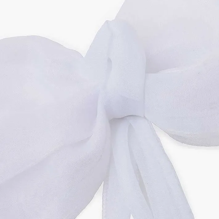 Para El Pelo<Pisamonas Peineta Lazo Organza Cintas